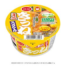 ミニきつねうどん 41g