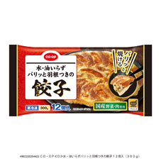 水・油いらずパリッと羽根つきの餃子 １２個入（３００ｇ）